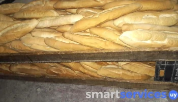 Panadería Y Confitería Artigas - 15300 Estación La Floresta