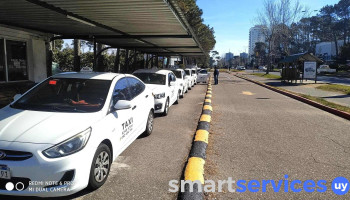 Parada De Taxi - Punta Del Este