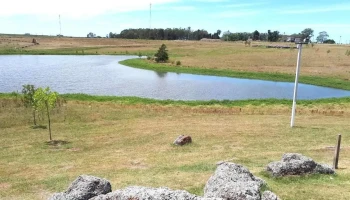 Parque del Rosedal - Carlos Reyles