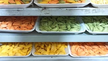Pastas Artesanales San Carlos - Departamento De Cerro Largo
