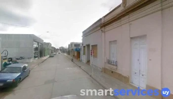 Pauemi - Rocha