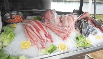 Pescadería Solis Chico - 15300 Bello Horizonte