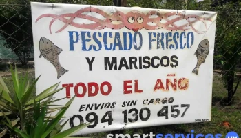 Pescado Fresco - 15800 Ciudad De La Costa