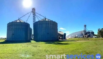 Planta de acopio Molino Río Uruguay - 80100 Departamento De San José