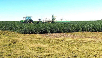 Planta de Silos Urf R3 - 85000 Trinidad