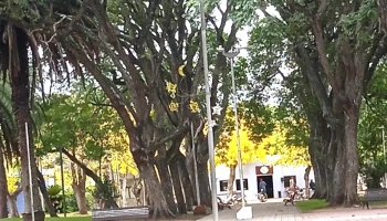 Plaza San Antonio - 91300 San Antonio