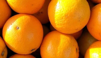 Portos Frutas y Verduras - Buceo - Lateral Nte. Av. Gral. Rivera