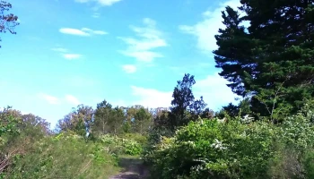 Prolesa Sarandí Grande - Sarandí Grande