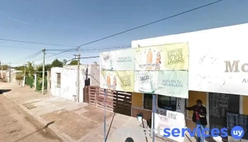 Provisión Montes De Oca - 65000 Fray Bentos