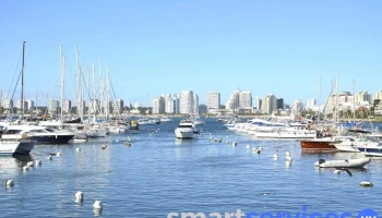 Puerto de Punta del Este - Departamento De Maldonado