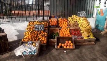 Puesto Mateo (Frutas y Verduras) - 11400 Montevideo