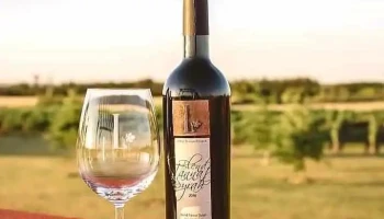 Ruta del vino - 70100 Carmelo