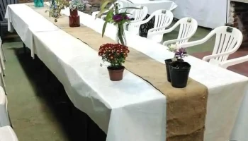 Salón de eventos Tilo en Flor - 45100 Paso De Los Toros