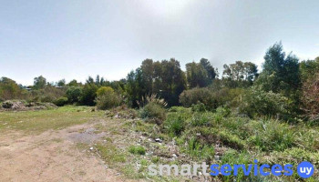 Salus - 20200 Piriápolis