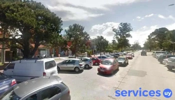 School Land - Montevideo