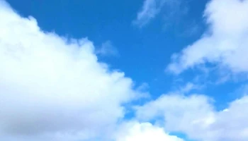 Sinergia Punta del Este - Punta Del Este