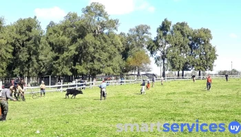 Sociedad Nativista El Rincón - 65000 Fray Bentos