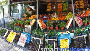 Súper frutas - 11700 Montevideo