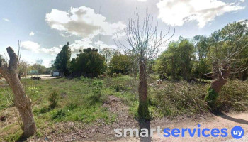 Tienda lourdes - Montevideo