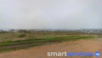 Tienda Mimitos - 37000 Melo