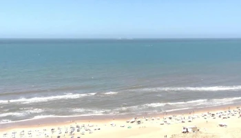 Torrelobos - Punta Del Este