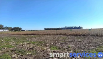 Unión Rural De Flores C.a.r.l. - 85000 Trinidad