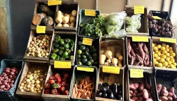 Verduras - 11200 Montevideo