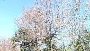 videodplash - Montevideo