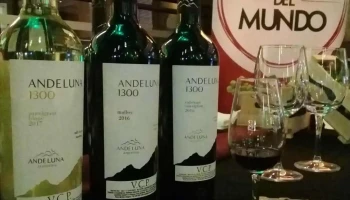 Vinos Del Mundo - 11100 Montevideo