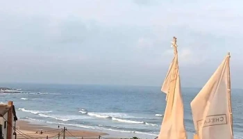 www.URUBUS.com.uy - Punta Del Este