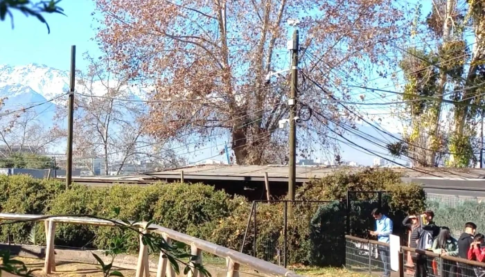 321vola Comentarios - Montevideo