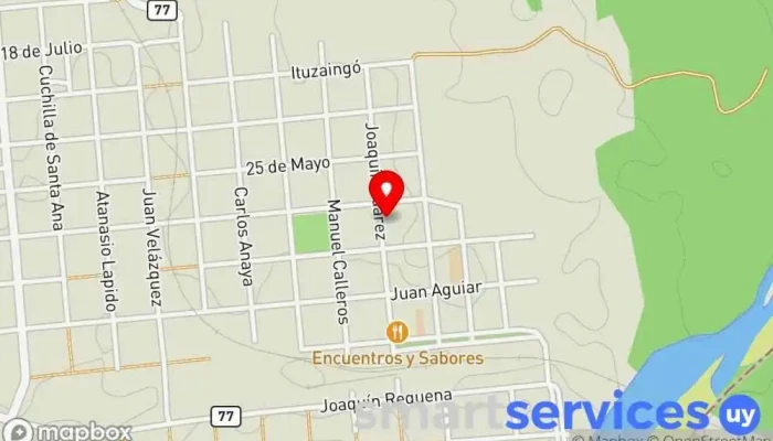 mapa de Agencia CITA Servicio de transporte en 25 de Agosto