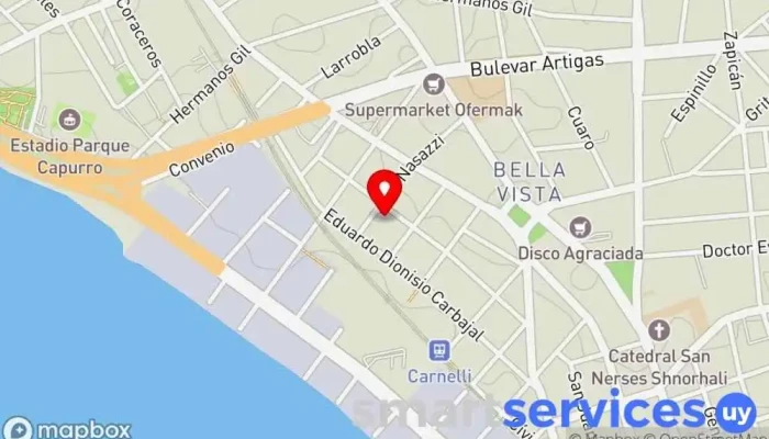 mapa de Agencia Nasazzi 900 Empresa de transporte por camión, Servicio de envíos en Montevideo