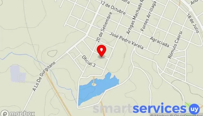 mapa de Agencia Nasazzi Servicio de transporte, Empresa de transporte por camión en Sarandí Grande
