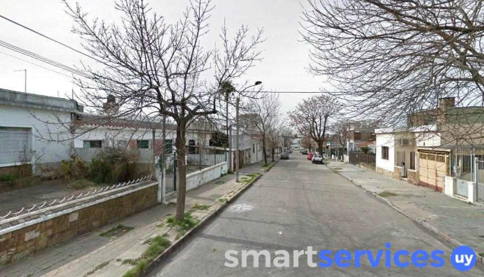 Agencia sapoflet - Montevideo