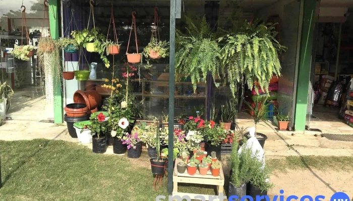 Agropecuaria la perla - 80500 Ciudad Del Plata