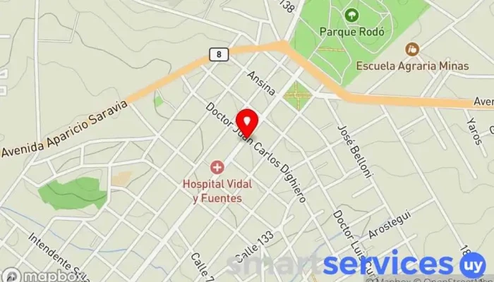 mapa de Alcance Total Servicio de marketing por Internet en Minas