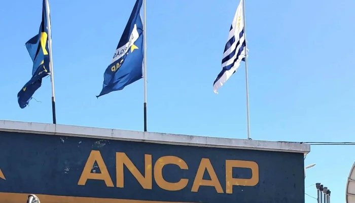 Ancap -  Instagram - José Batlle y Ordóñez