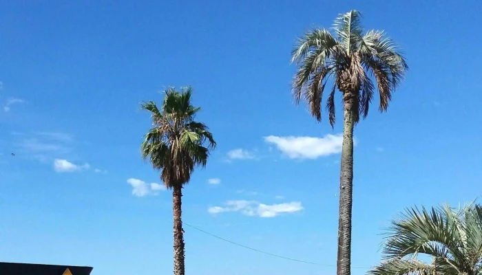 Ancap La Paloma -  Descuentos - La Paloma