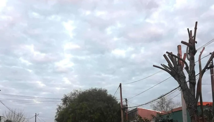 Ancap Rio Branco -  Telefono - Cerro Largo