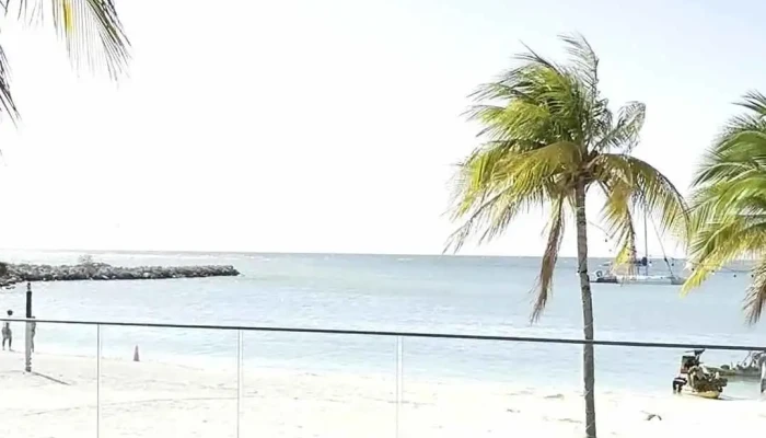 Andamos Volando -  Videos - Montevideo