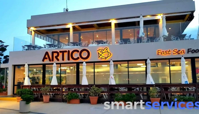 Ártico - 20100 Punta Del Este