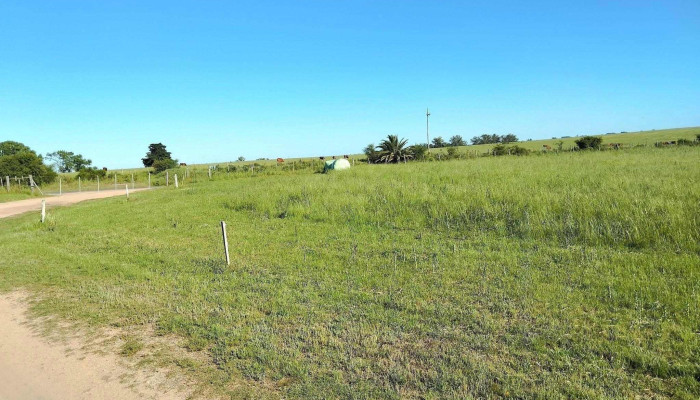 Austrey Sa-Galpón - 97000 Durazno
