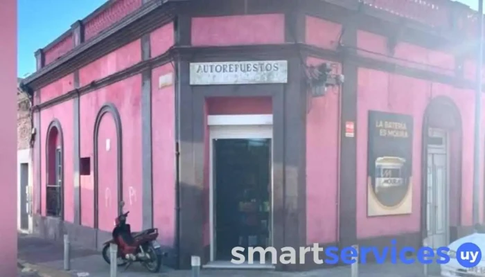 Autorepuestos San Carlos -  Mas Recientes - San Carlos