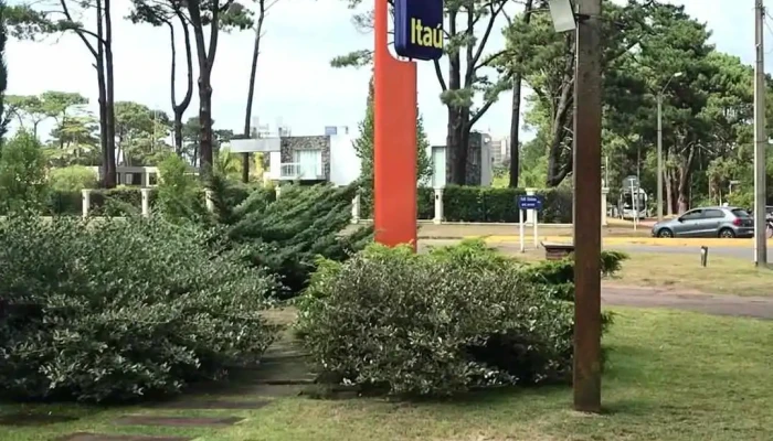 Banco Itau Agencia Roosvelt Videos - Punta del Este