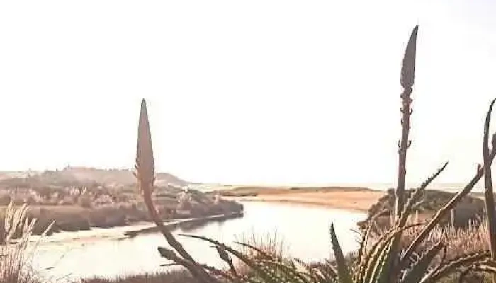 Barra de Carrasco - Ciudad De La Costa