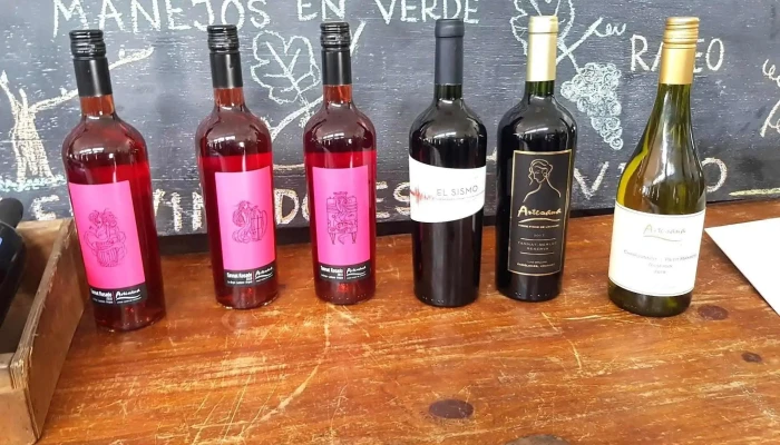 Bodega Artesana - Departamento De Canelones