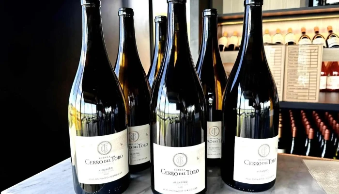 Bodega Cerro del Toro - 20200 Piriápolis