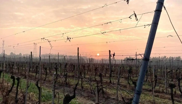 Bodega Nabune - 12400