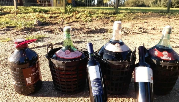 Bodega Tomasi - Camino Pajas Blancas